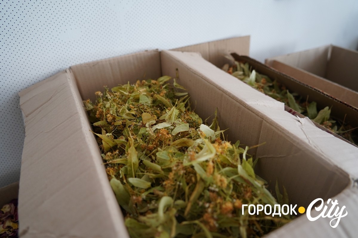 Понад 70 сіток для фронту. Як волонтерки з Великої Левади допомагають захисникам