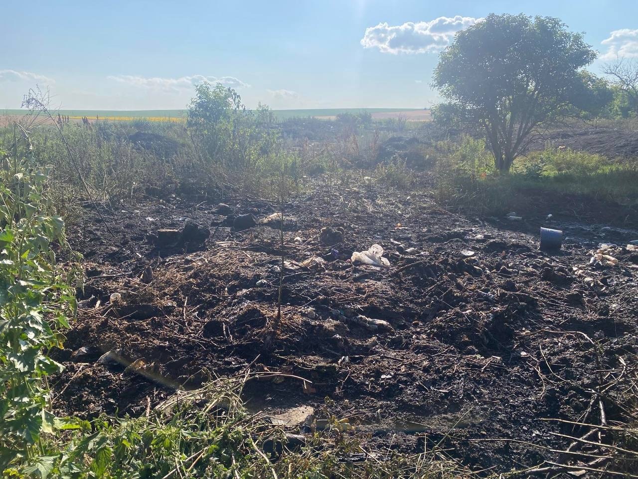 Три пожежі за два дні: на Сатанівеччині вогонь знищив три гектари пшениці