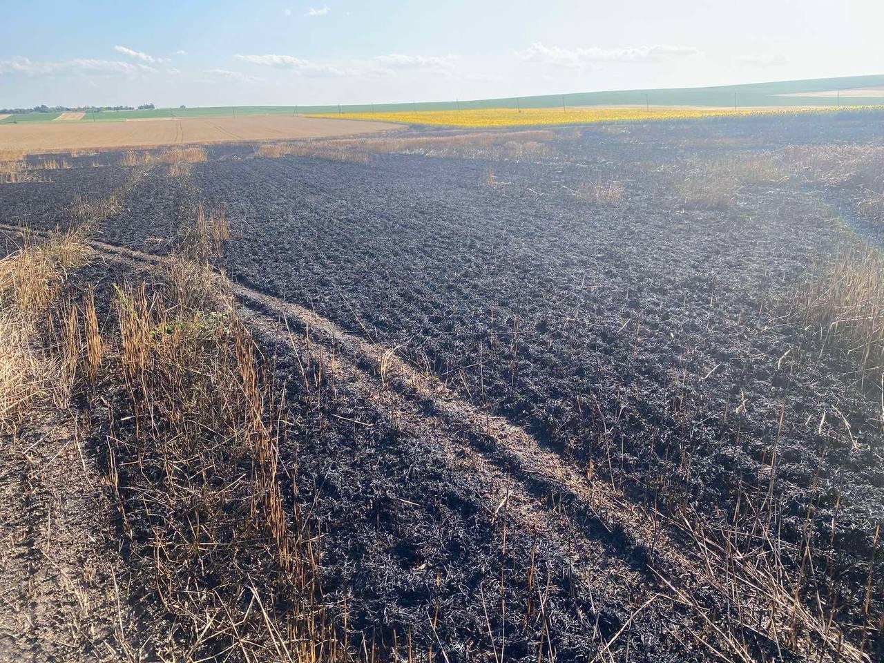 Три пожежі за два дні: на Сатанівеччині вогонь знищив три гектари пшениці