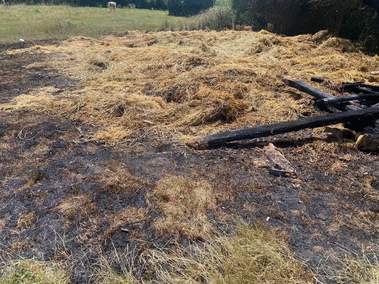 Пожежа в Борщівці: знищено сінник і сіно