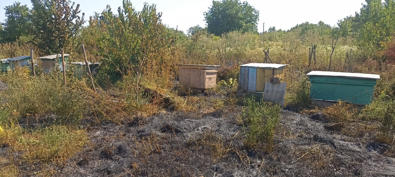 У Городоцькій громаді за три дні сталося п’ять пожеж