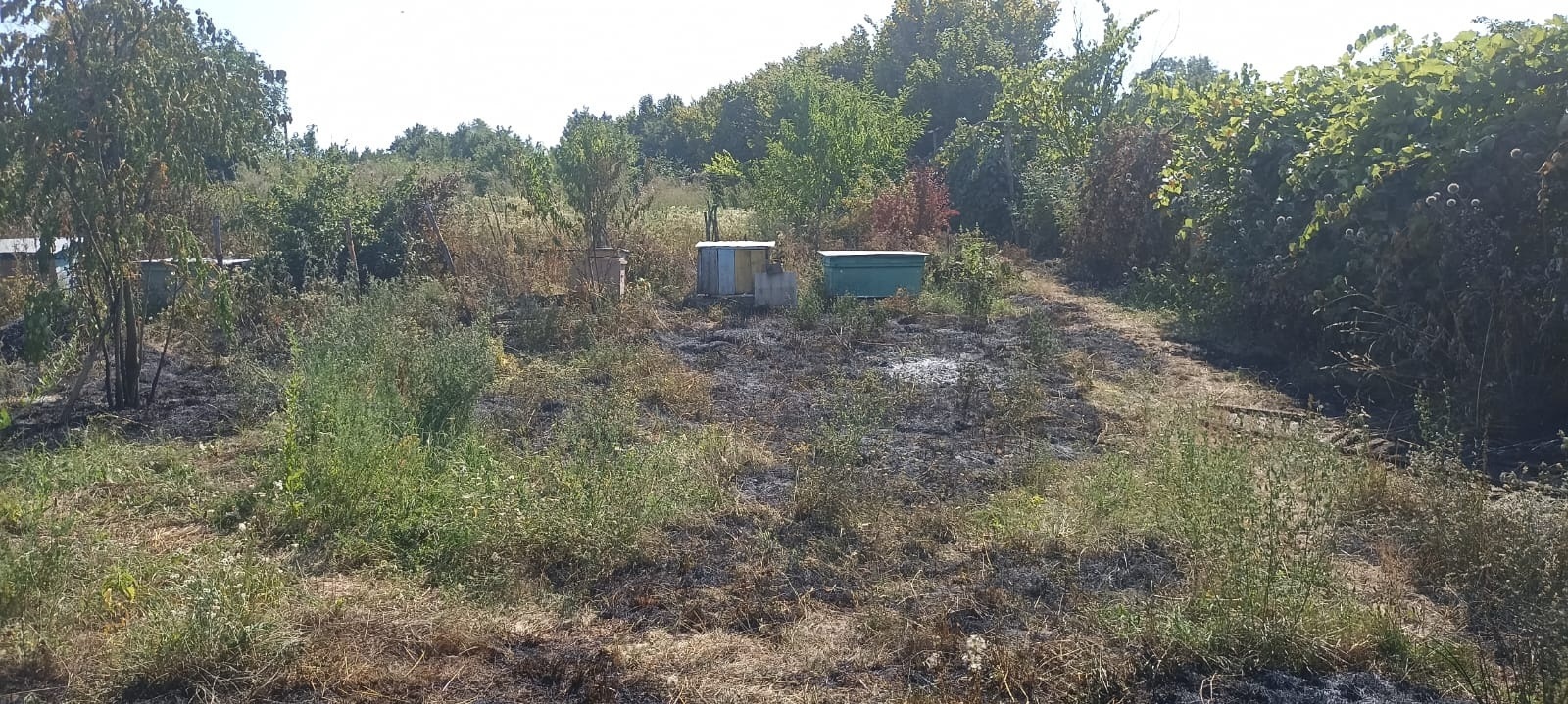 У Городоцькій громаді за три дні сталося п’ять пожеж