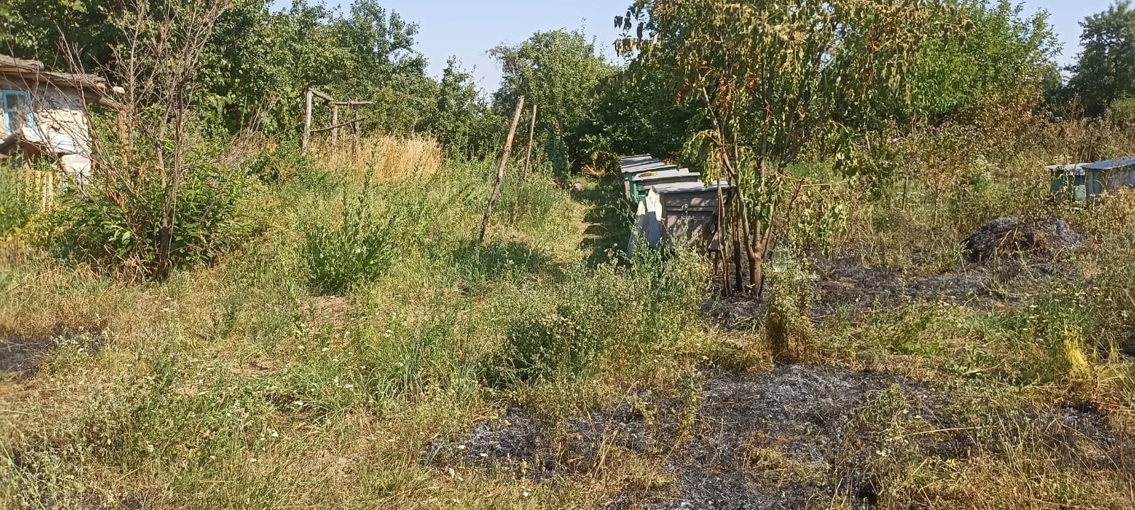 У Городоцькій громаді за три дні сталося п’ять пожеж