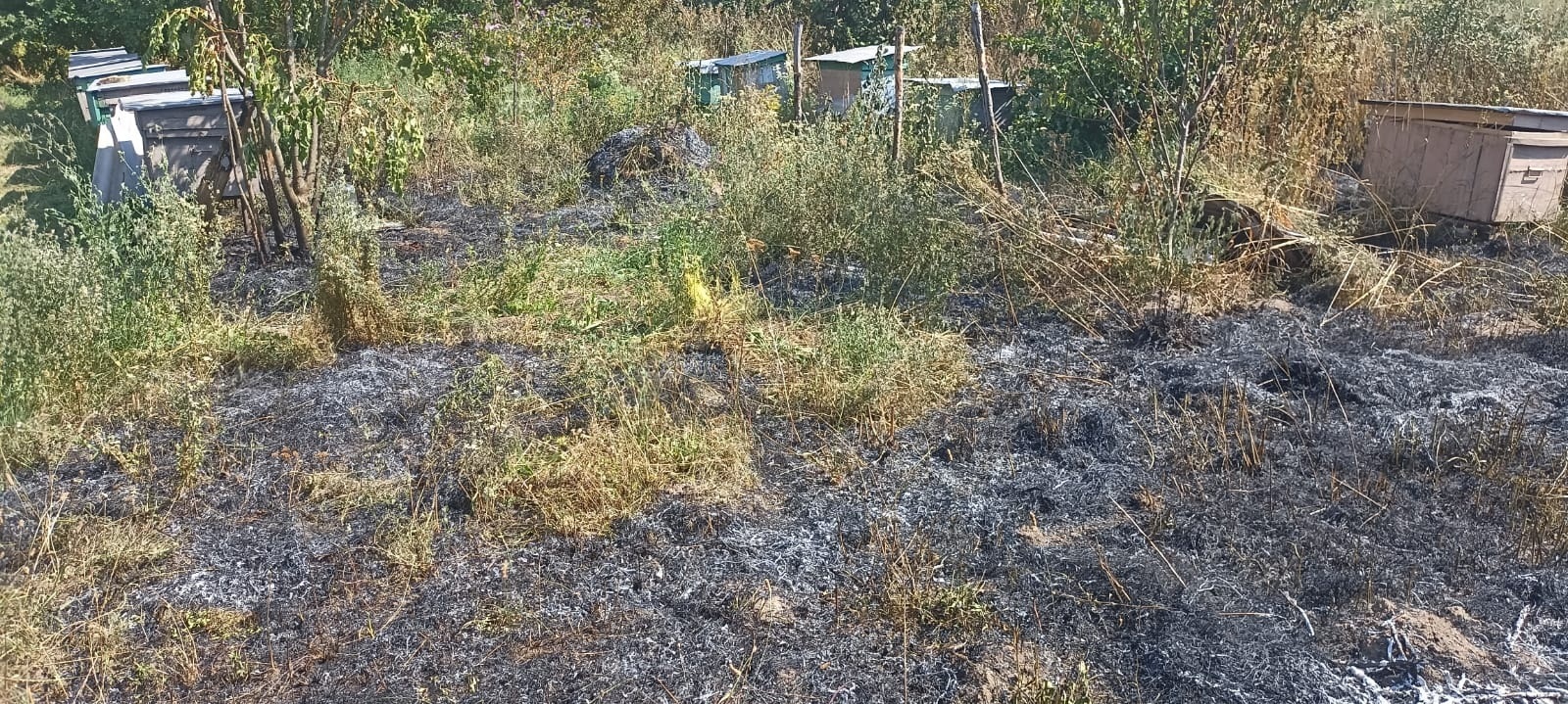 У Городоцькій громаді за три дні сталося п’ять пожеж
