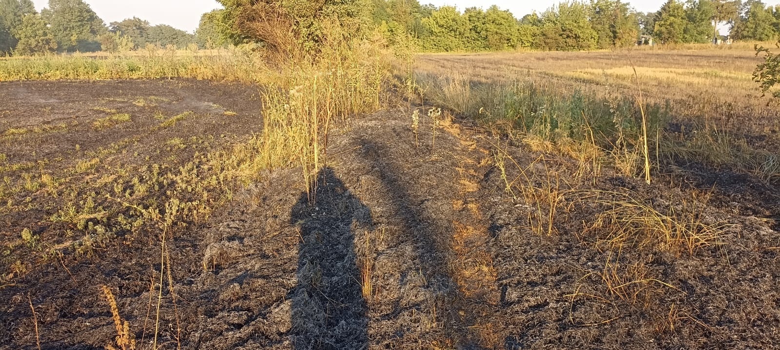 У Городоцькій громаді за три дні сталося п’ять пожеж