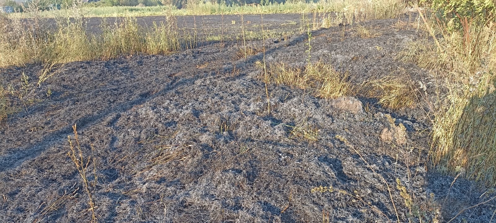 У Городоцькій громаді за три дні сталося п’ять пожеж