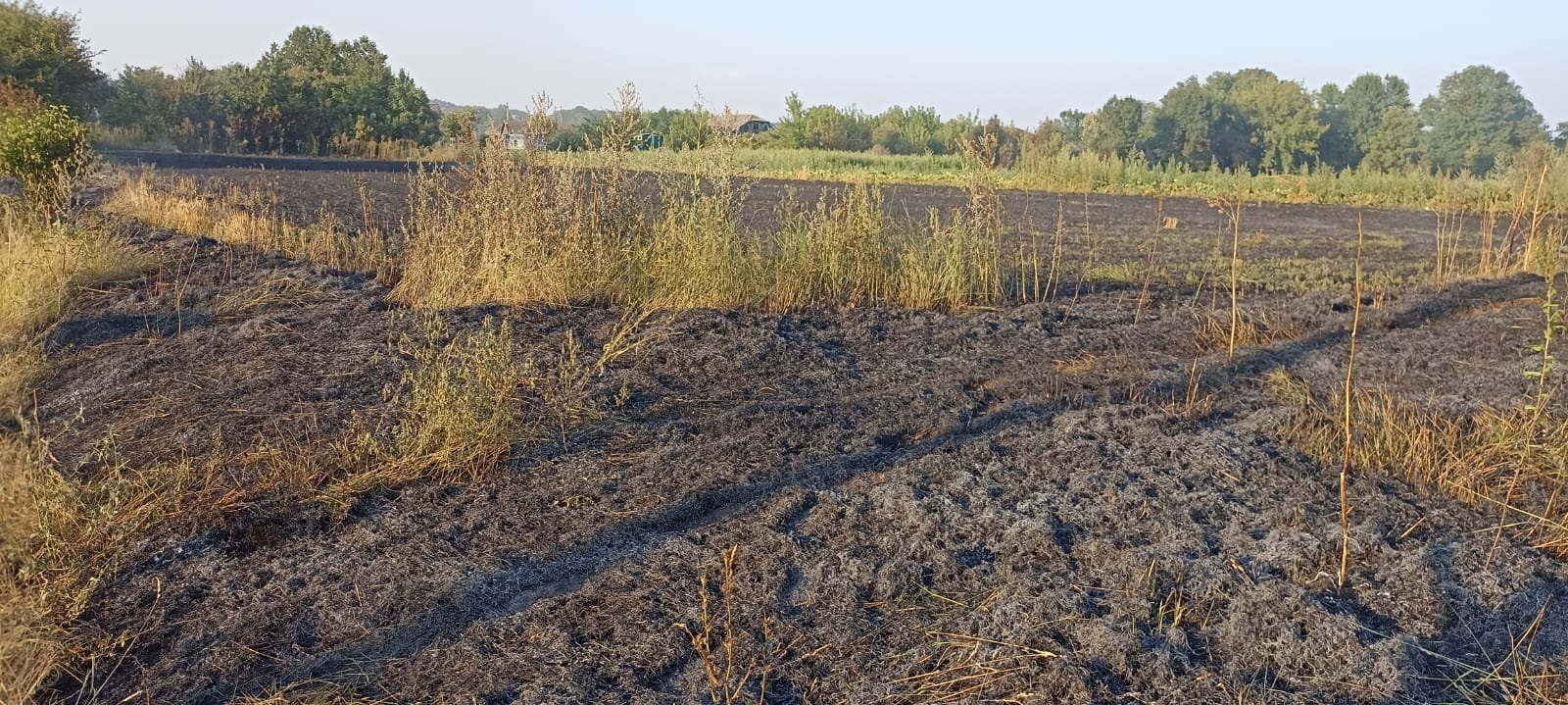 У Городоцькій громаді за три дні сталося п’ять пожеж