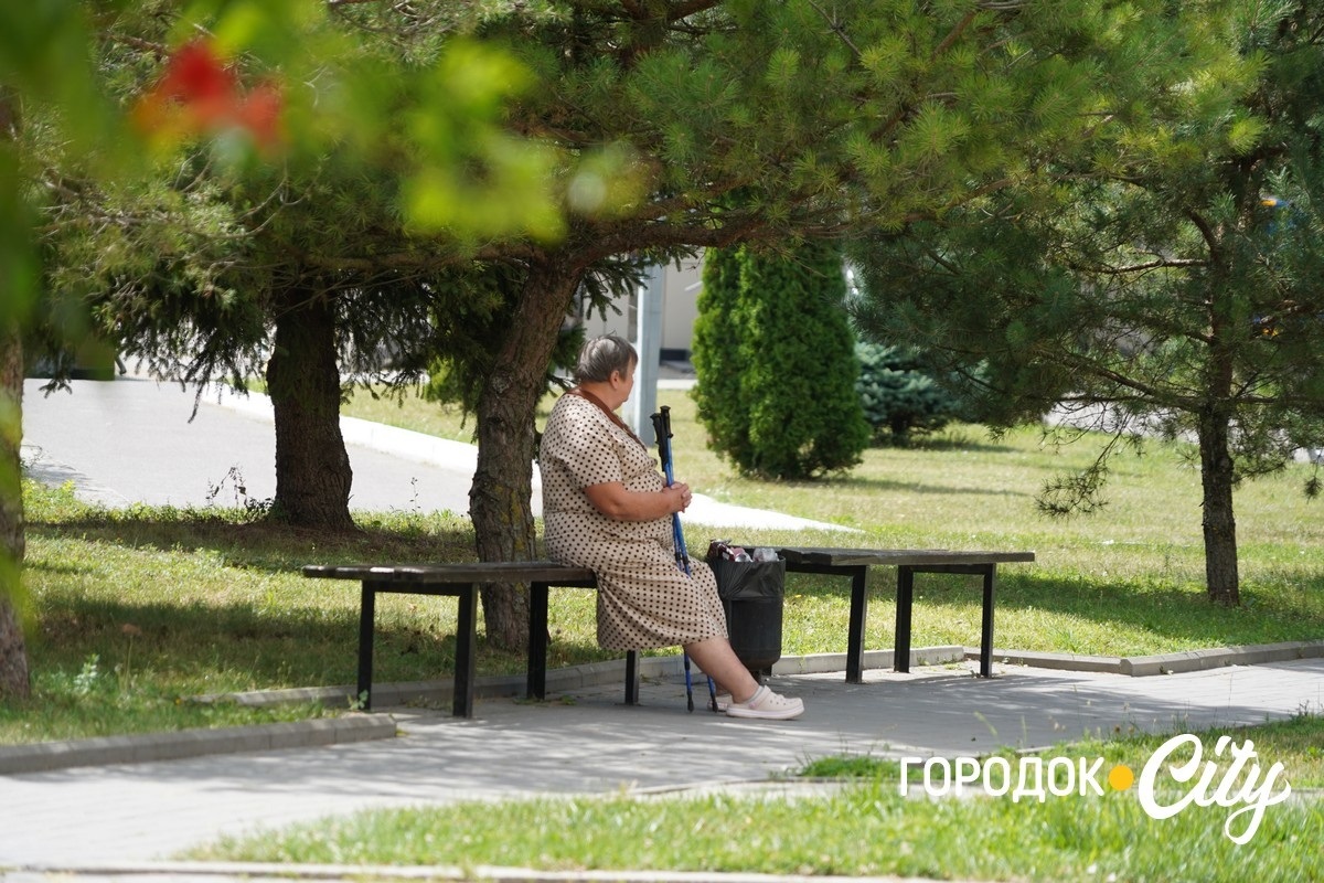 Від генератора до СЕС: як Городоцька лікарня будує систему автономного живлення і скільки це коштує
