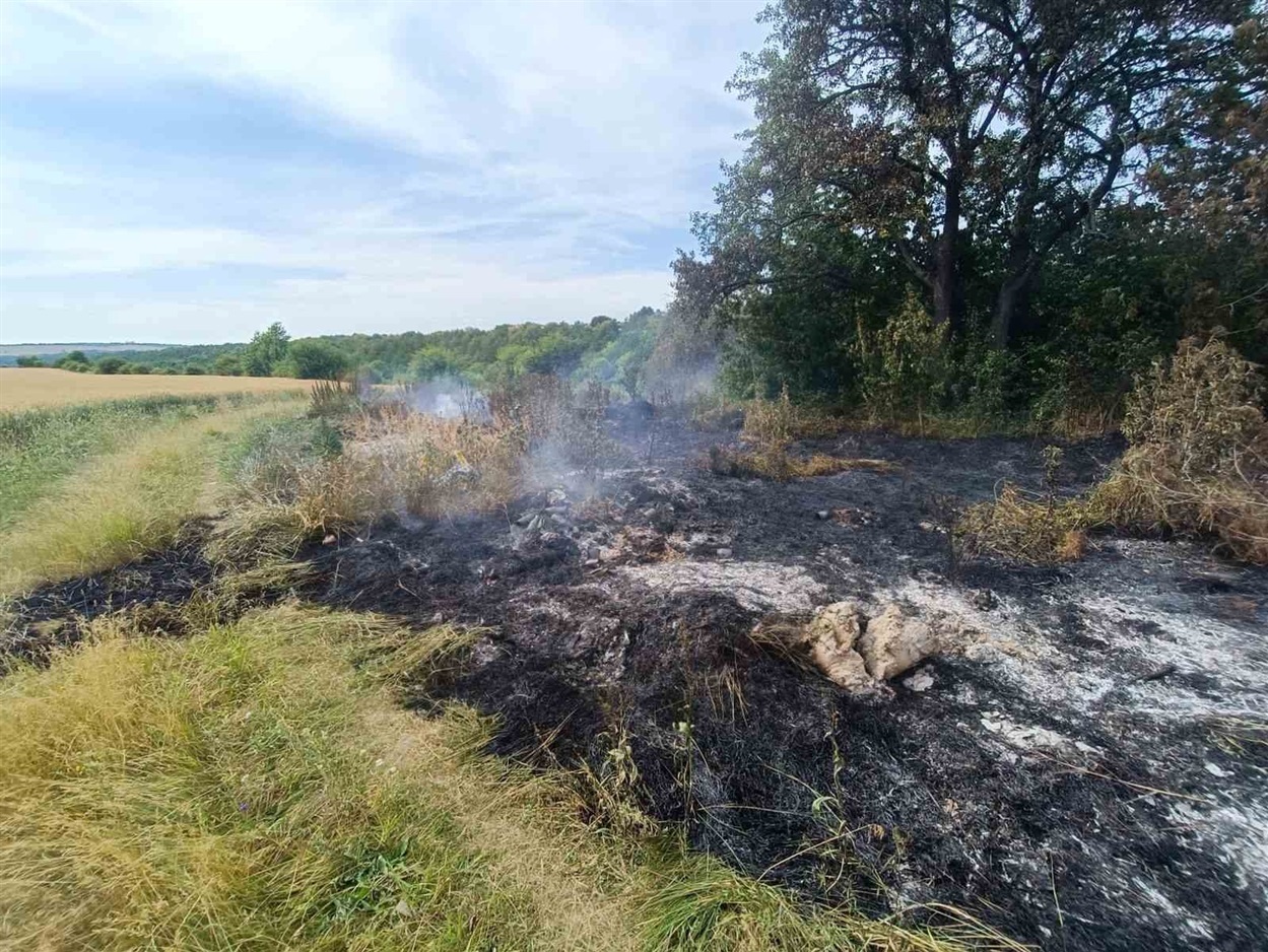 Загоряння трави за селом Бубнівка