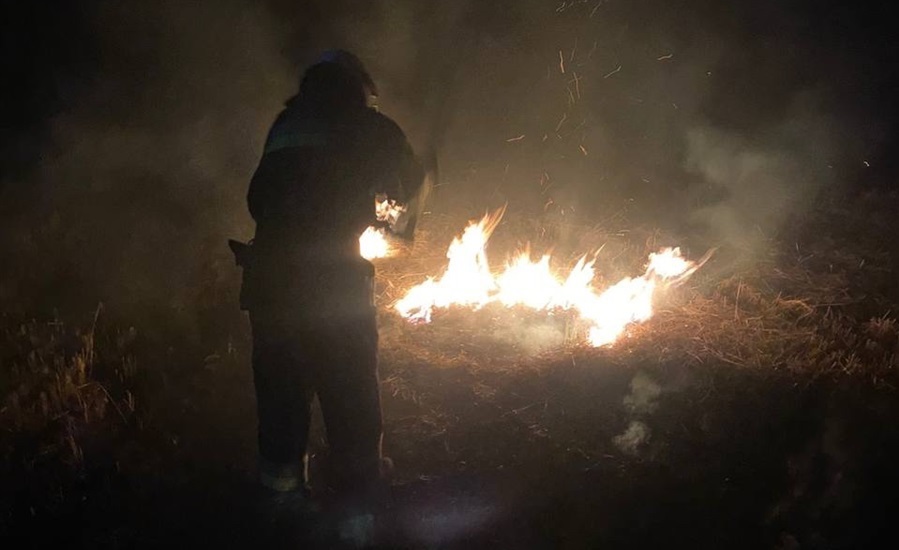 Пожежа поблизу села Новий Світ 